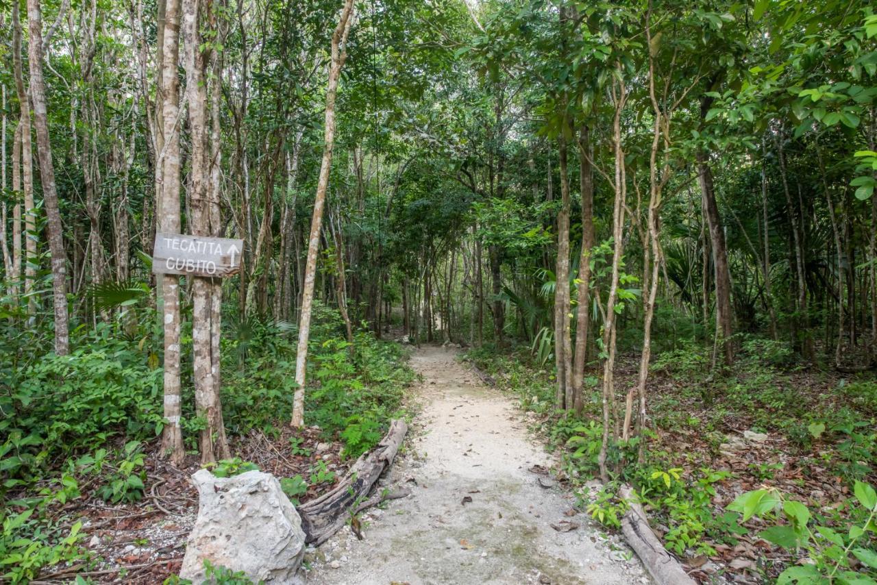 Casa Costal - Glamping Experience Hotel Puerto Morelos Ngoại thất bức ảnh
