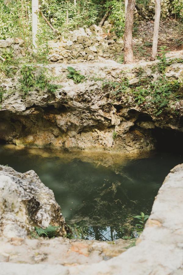 Casa Costal - Glamping Experience Hotel Puerto Morelos Phòng bức ảnh