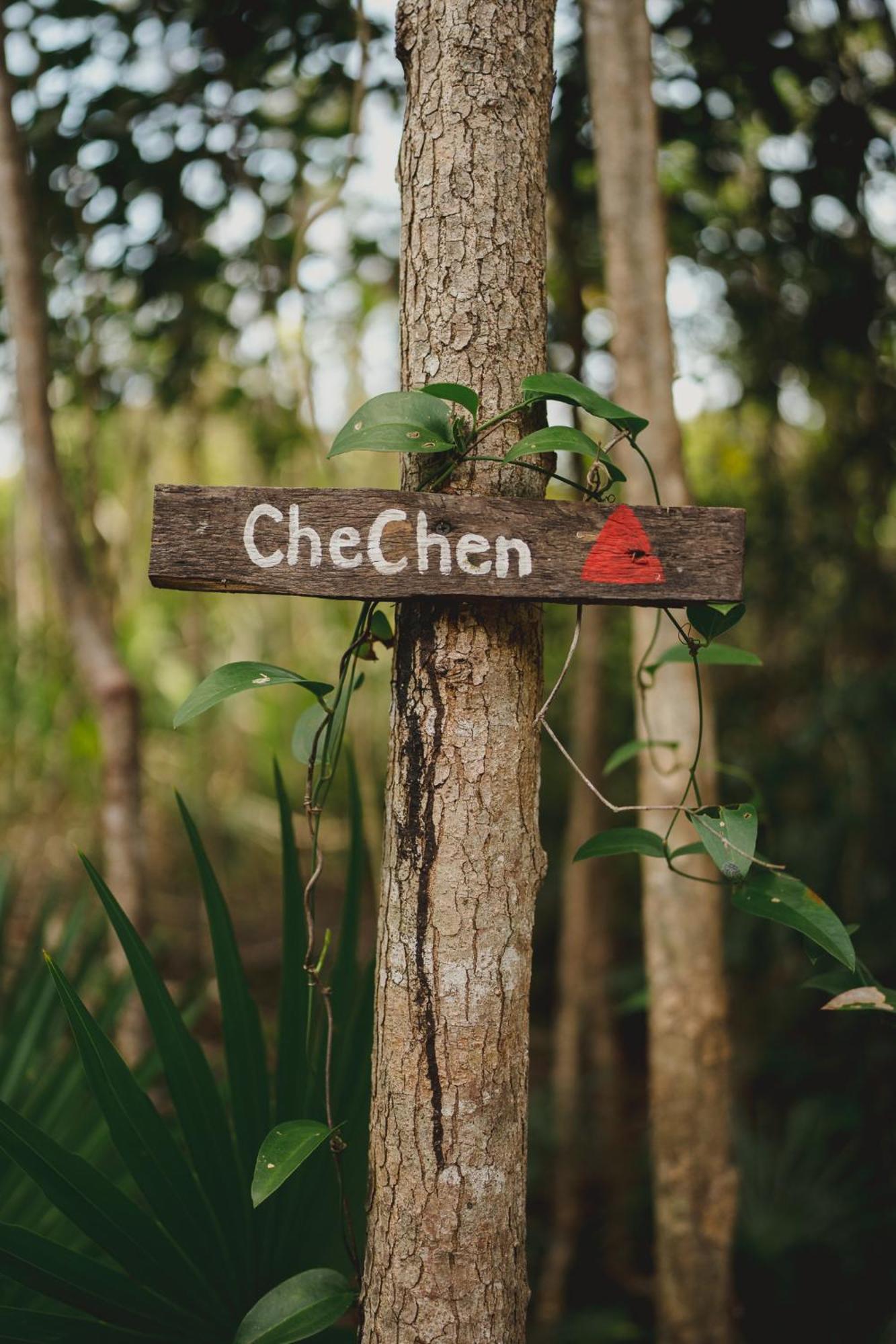 Casa Costal - Glamping Experience Hotel Puerto Morelos Phòng bức ảnh
