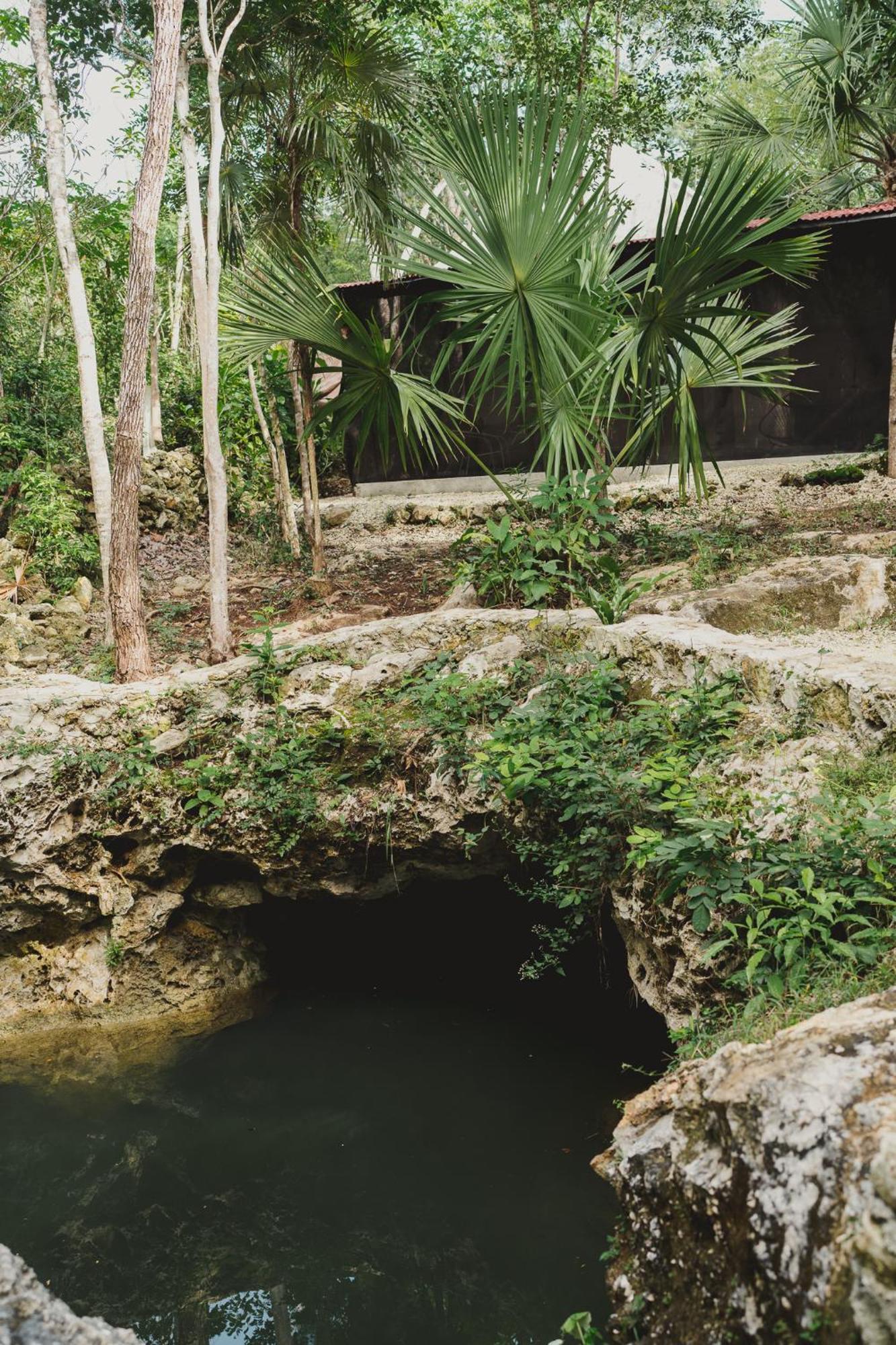 Casa Costal - Glamping Experience Hotel Puerto Morelos Phòng bức ảnh